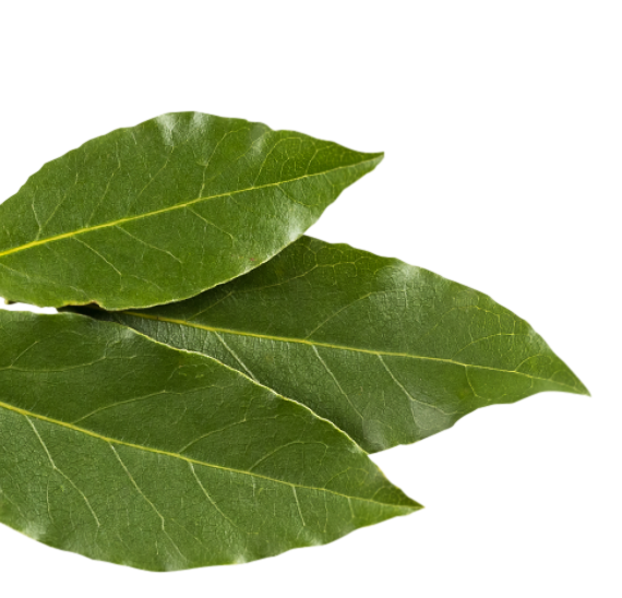 Bay Leaves